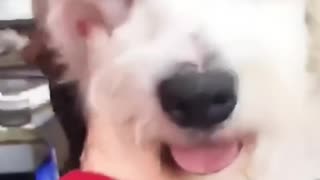 This kind woman rescued a neglected dog giving it a warm home