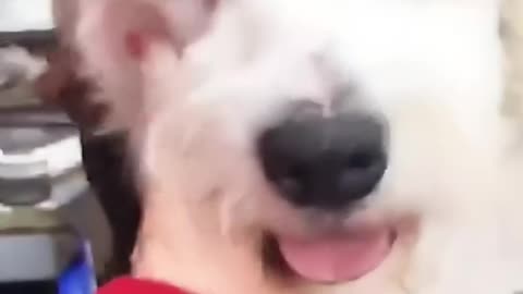 This kind woman rescued a neglected dog giving it a warm home