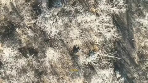 UA POV A explosive Incendiary device is dropped on a Russian trench near Bakhmut