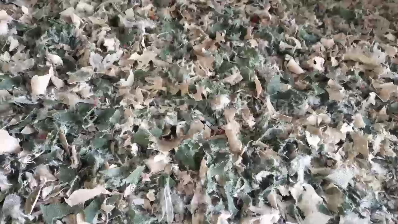 Look! Single-Shaft Shredder Perfectly Processes Coatings!