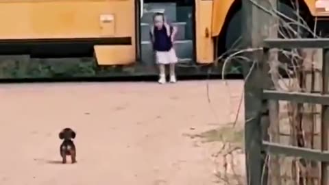 Life's better when someone's waiting for you like this 🐶🥰