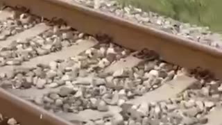 🚁 In Dagestan (Russia), Ka-226 helicopter crashed with tourists, preliminary reports