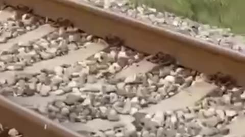 🚁 In Dagestan (Russia), Ka-226 helicopter crashed with tourists, preliminary reports