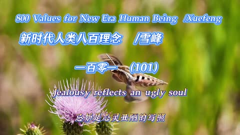 800 Values for New Era Human Being（101）