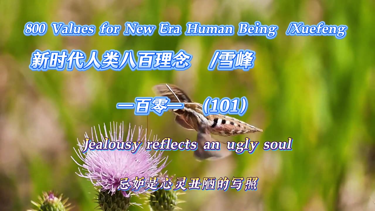 800 Values for New Era Human Being(101)