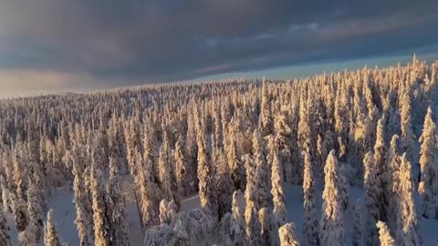 360' Winter in Finland