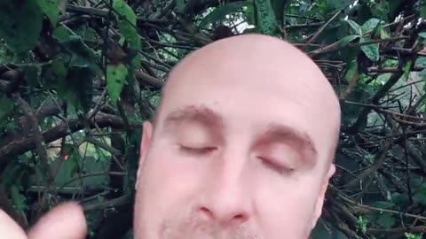 My Subreddit Got Banned and Why