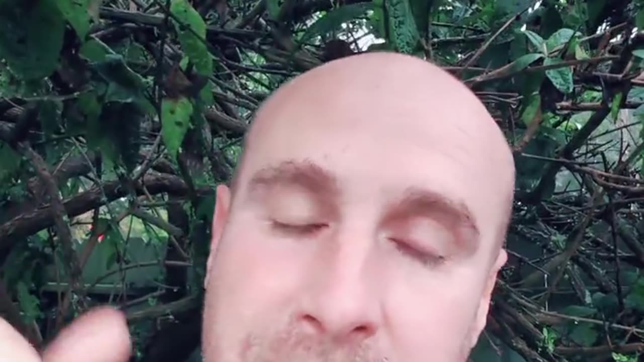 My Subreddit Got Banned and Why