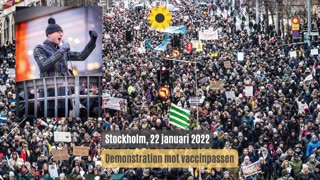 MoDs första tre år på 4:44