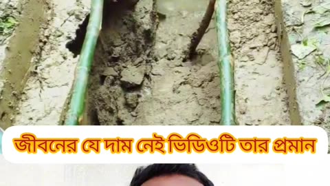🕊 “এই দুনিয়ার অহংকার একদিন মাটির নিচে হারিয়ে যাবে…” 💔