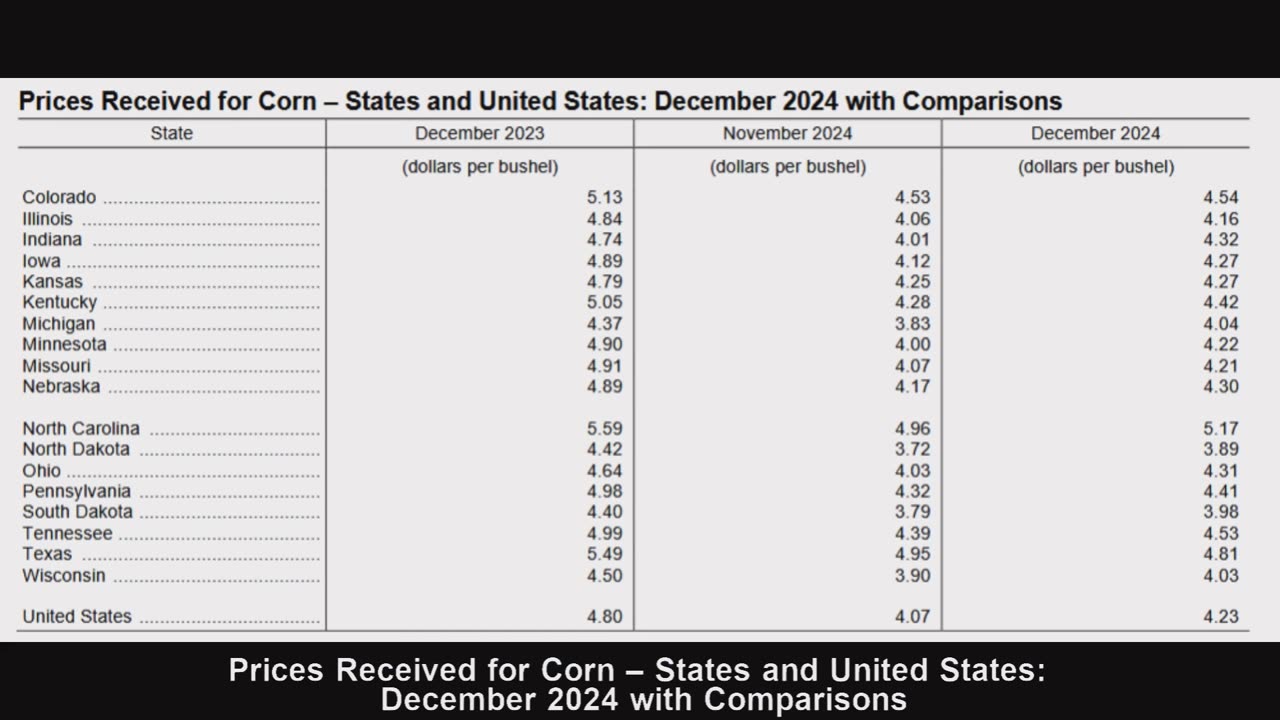 Where is the most expensive corn in the US?