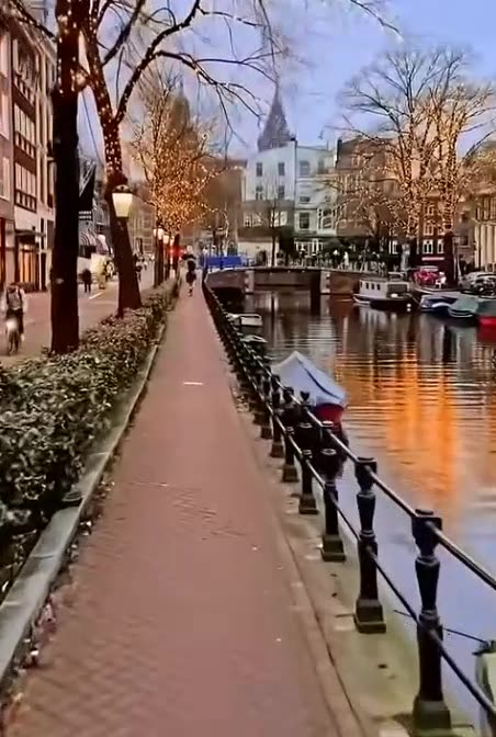 VERITAS VAULT X-MAS🎄PEACE ON EARTH🎄AUTO-PILOT CRYPTO STAKING PROFITS 3X@DAY🎄TOP TEAM ROB BUSER