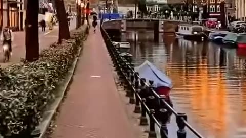 VERITAS VAULT X-MAS🎄PEACE ON EARTH🎄AUTO-PILOT CRYPTO STAKING PROFITS 3X@DAY🎄TOP TEAM ROB BUSER