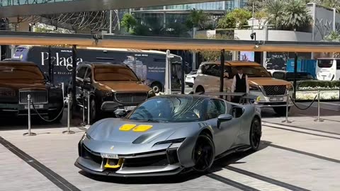 🤩✨ The Most LUXURIOUS Ferrari & Bugatti in Dubai! | LuxurySportsCars