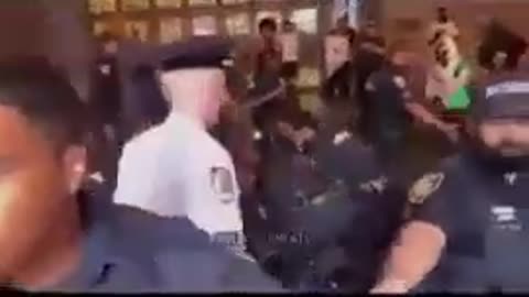 THE NYC ZOO LET OUT..THE NEW LONDON..