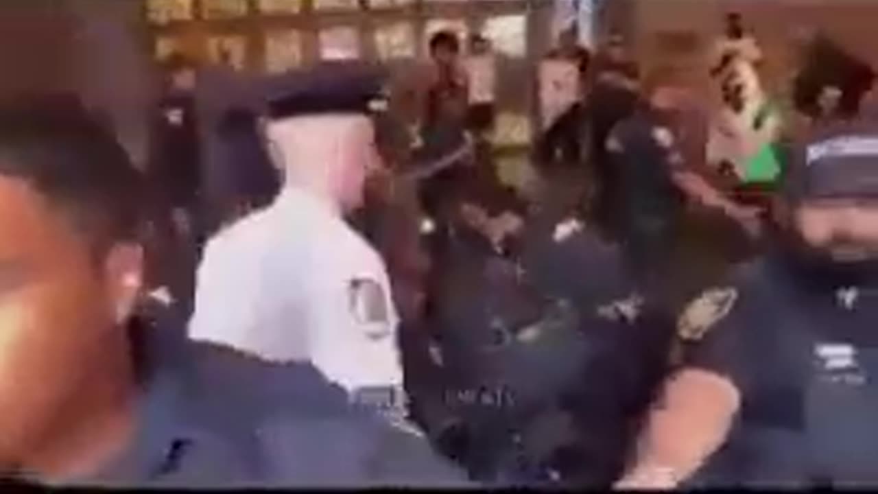 THE NYC ZOO LET OUT..THE NEW LONDON..