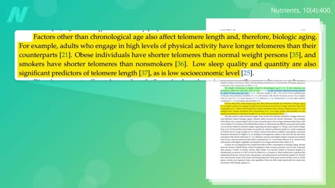 What to Eat to Prevent Telomere Shortening