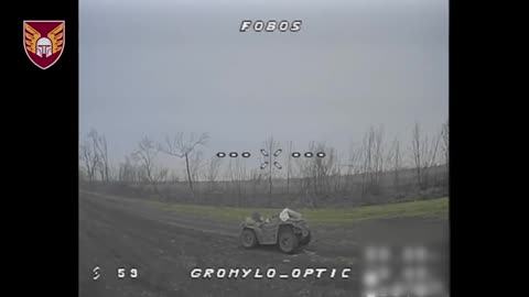 Destruction of Russian infantry by paratroopers from the 46th Airmobile Brigade of the Ukrainian