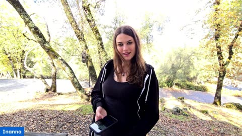 Twelve Teachings on The Intuitive Arts