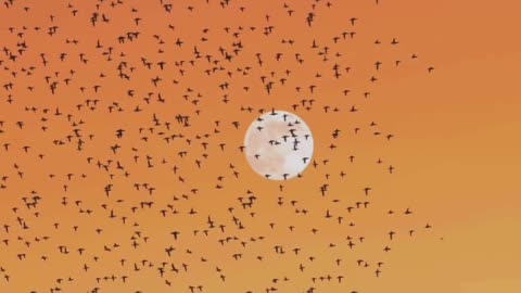 5 Deep Breathing Tips to Calm Your Mind