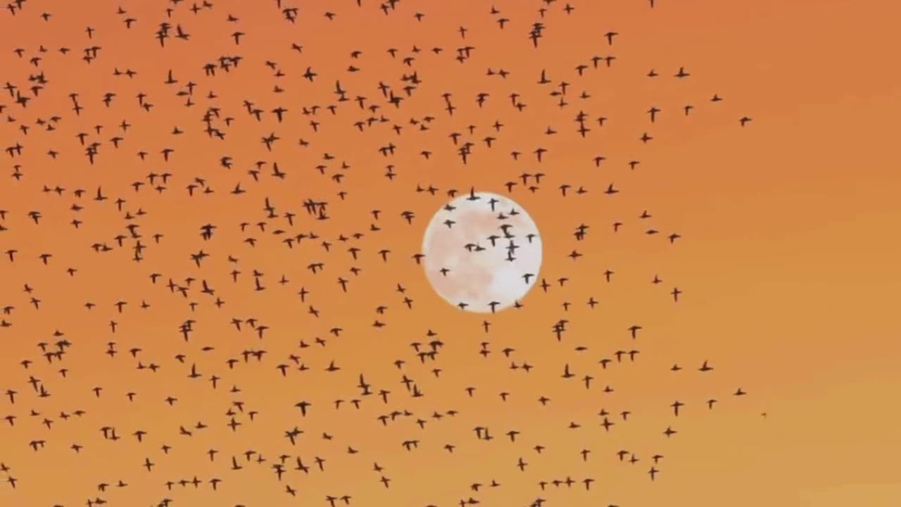 5 Deep Breathing Tips to Calm Your Mind