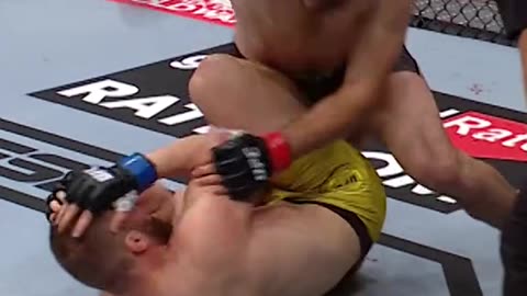 THE OCTAGON HEROES!