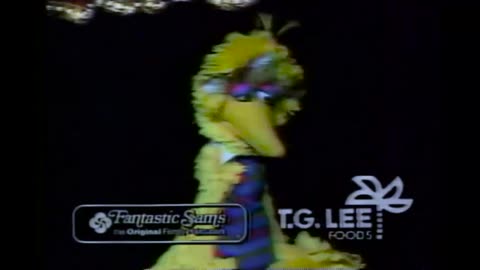October 7, 1991 - Sesame Street Live Coming to the Tampa Bay Area