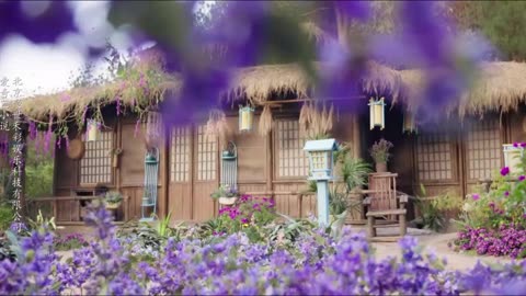 Qingcheng & Gengyun love of petals opening song 24
