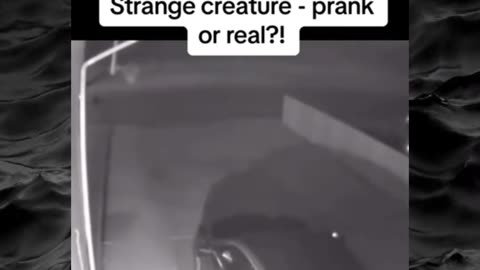 😱👻 The Scariest Paranormal Videos You'll See Today! | TheHauntingHour