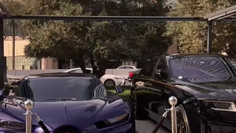 😱💨 This Hypercar's Acceleration Will Leave You Speechless! | LuxurySportsCars