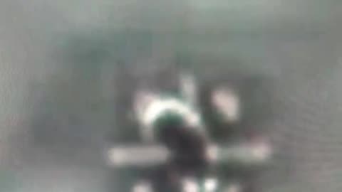 UFO UAP Aliens Senate Hearing W Anna Paulina Luna Introduction to nuclear honeybees deep sea life