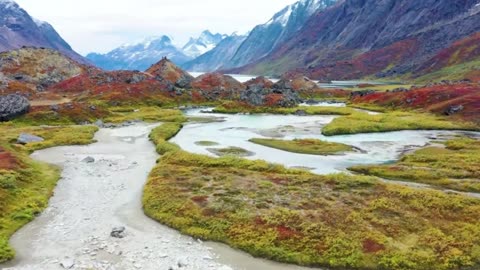 Late Night R&B Signals