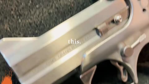 Bond Arms 357 Mag/38 Special | Florida Guns