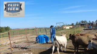 Trent Loos in the Morning - 11/25/2025