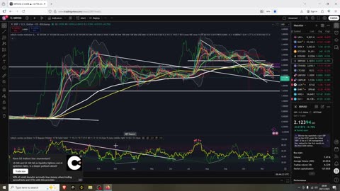 Another Bounce Today