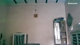 irl live stream