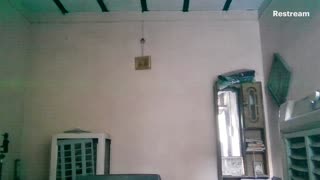 irl live stream
