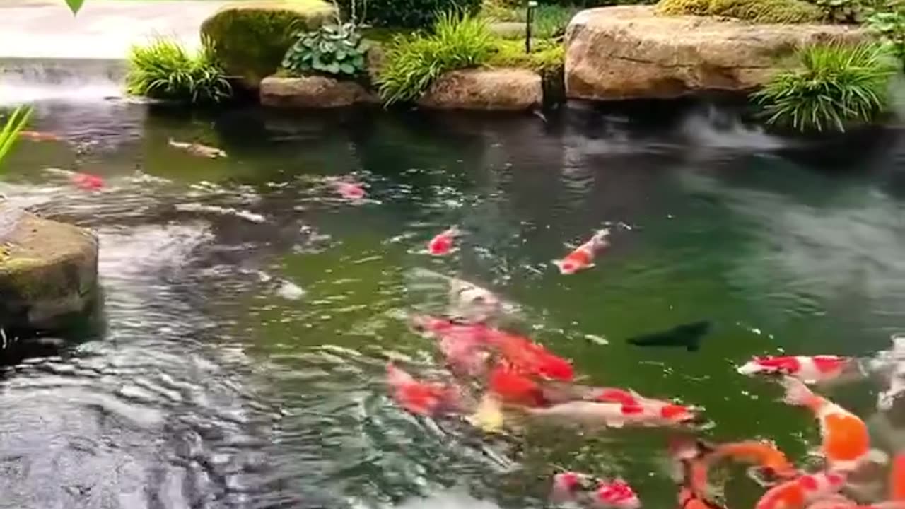 RIVER MAKER18