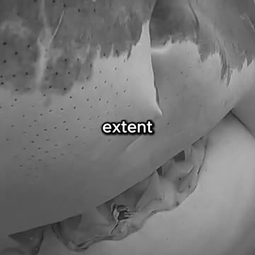 This_Man_Died_3000_Years_Ago_And_Nobody_Knew