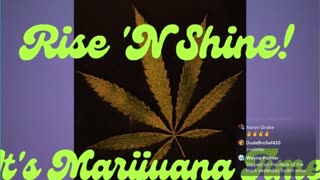 Rise ‘N Shine! It's Marijuana Time! Wake ‘N Bake Show Ep 393 December 12, 2025