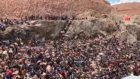 The dark reality of Net Zero.