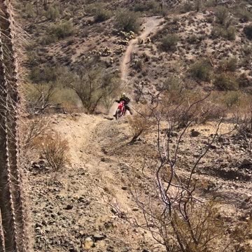 Hill climb with step ups