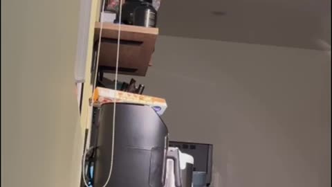 😂🐭 The Mouse-Catching Duo! | FunFM