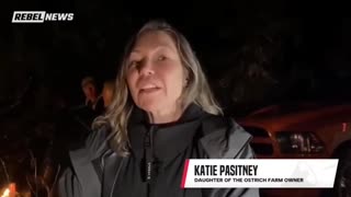 This corruption at the CFIA must be investigated