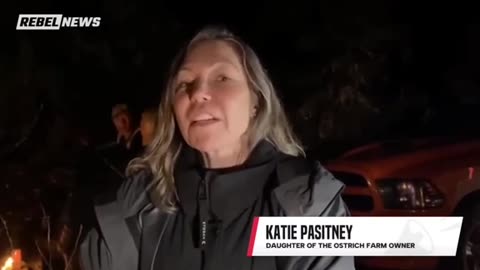 “THE PRIVATE LAB RED FLAG” 🚩 Katie Pasitney