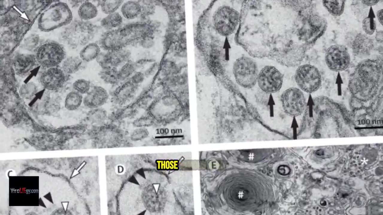 Virology — A Critique of Its Foundations - Mike Stone