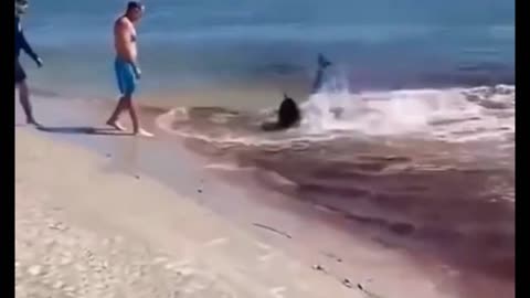 But what happened here?