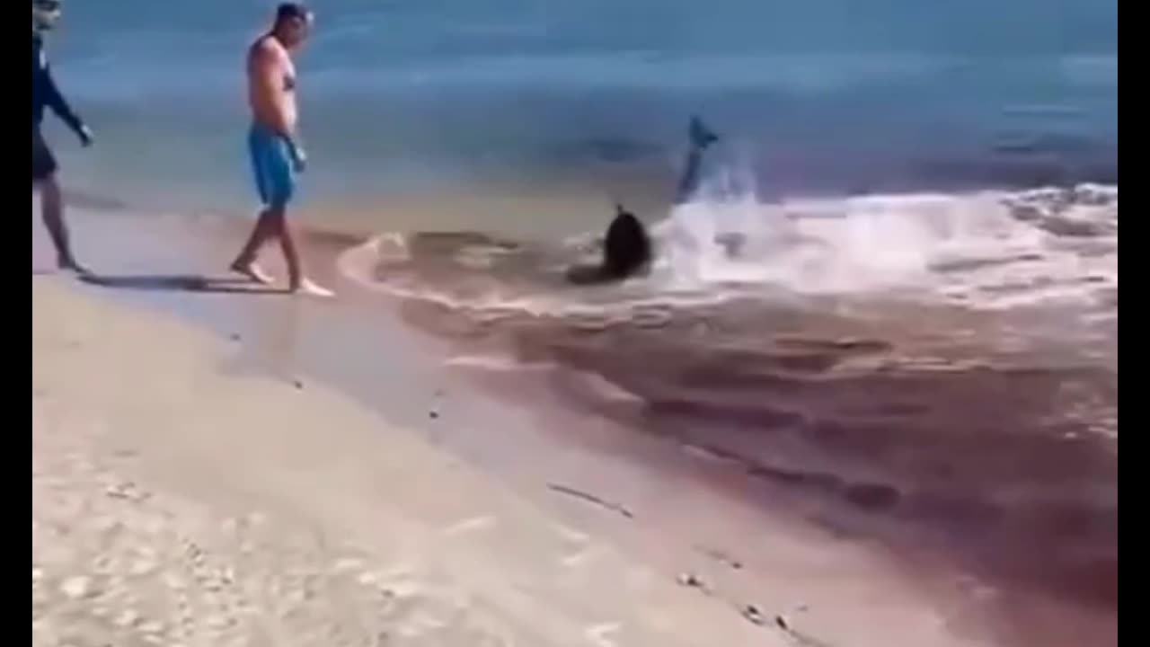 But what happened here?