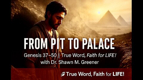 Ep 12 - Joseph: From Pit to Palace