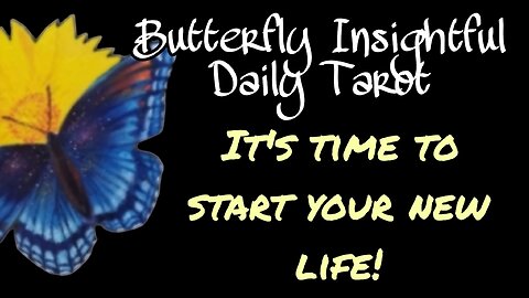 Butterfly Insightful Daily Tarot - It's now time to begin your new life!